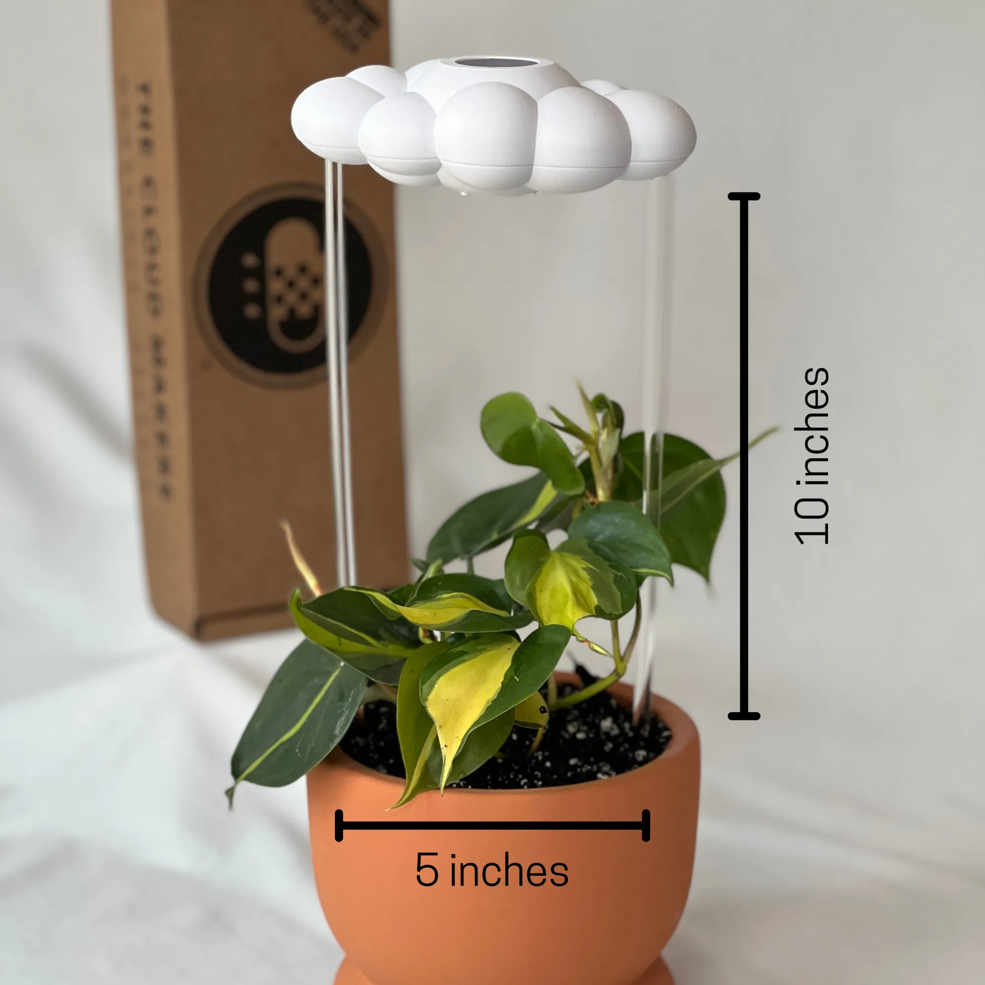 Original Dripping Rain Cloud with Ladder Charm