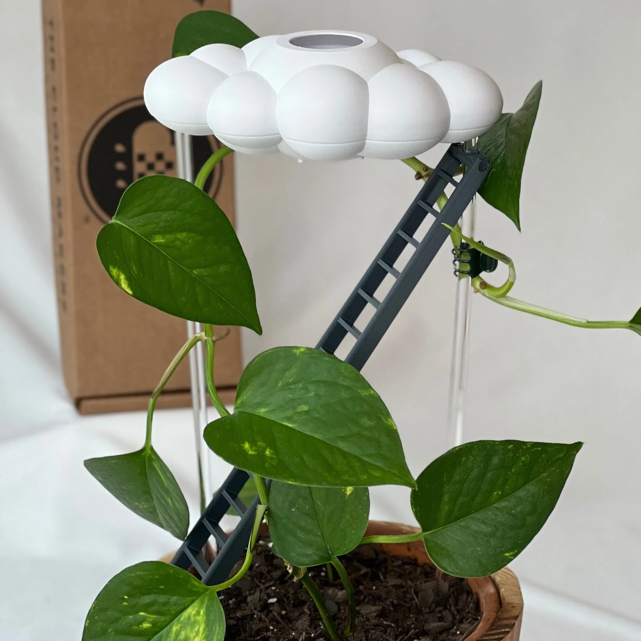 Original Dripping Rain Cloud with Ladder Charm