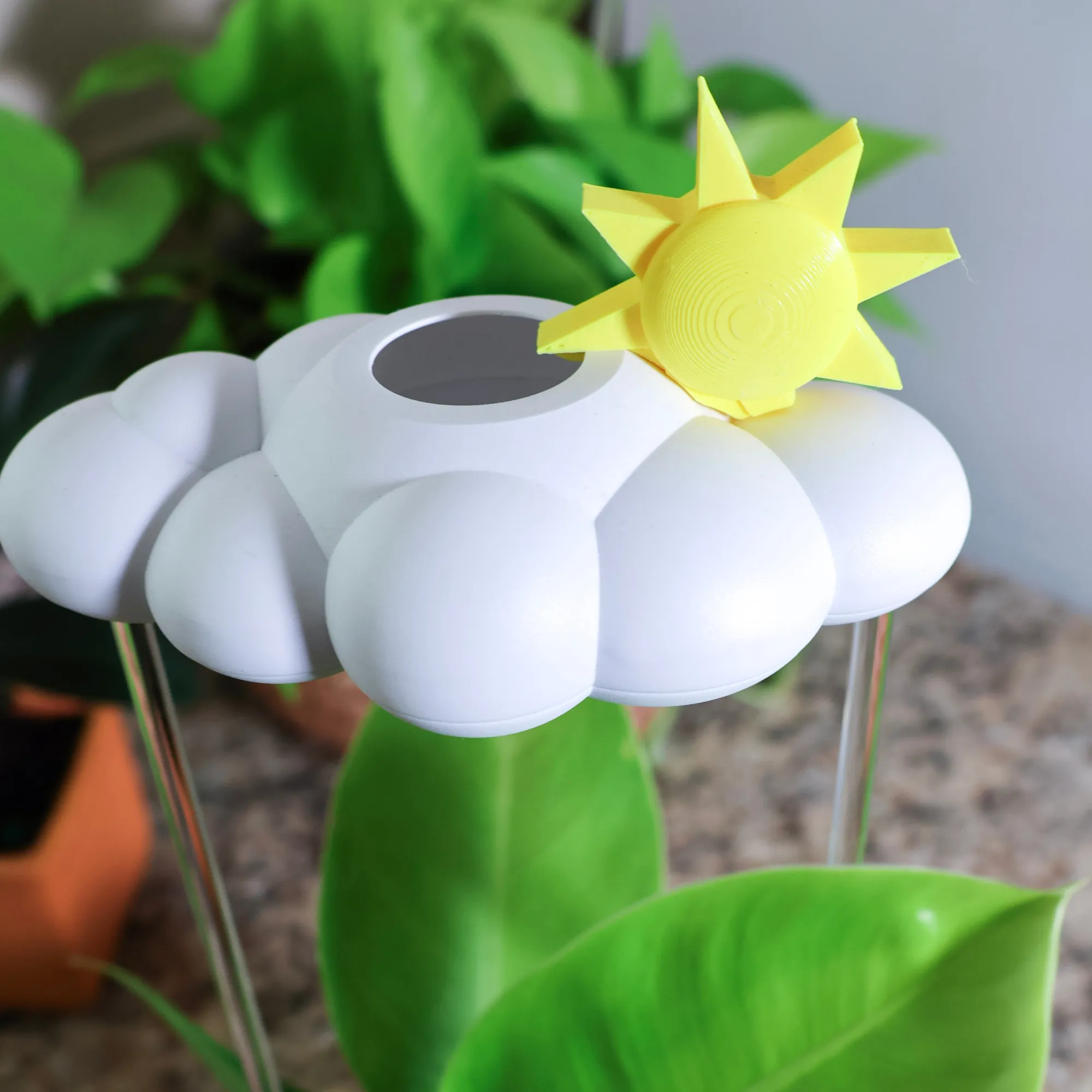 Sun Charm