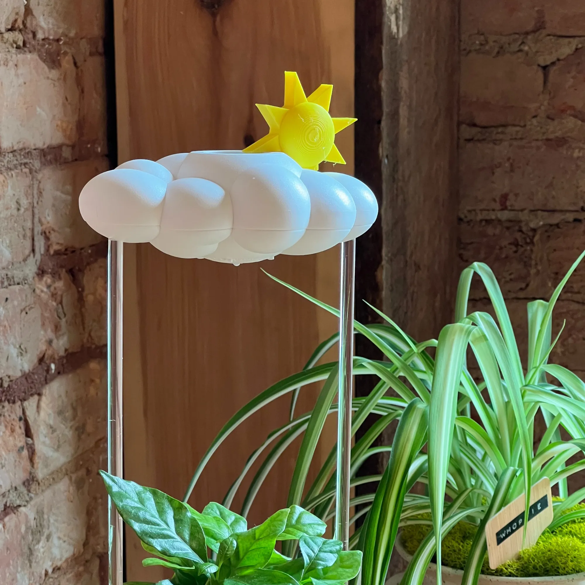 Sun Charm