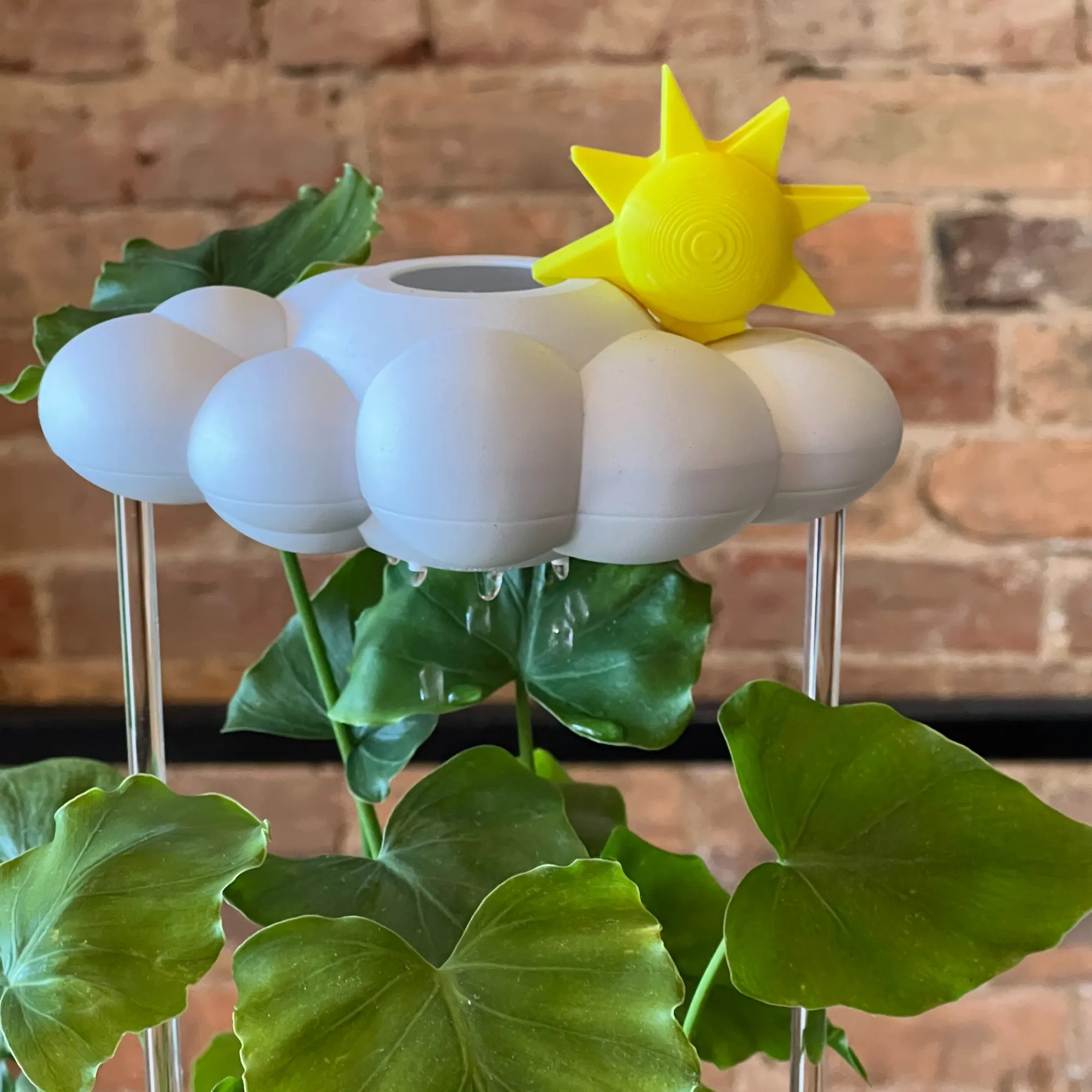 Sun Charm
