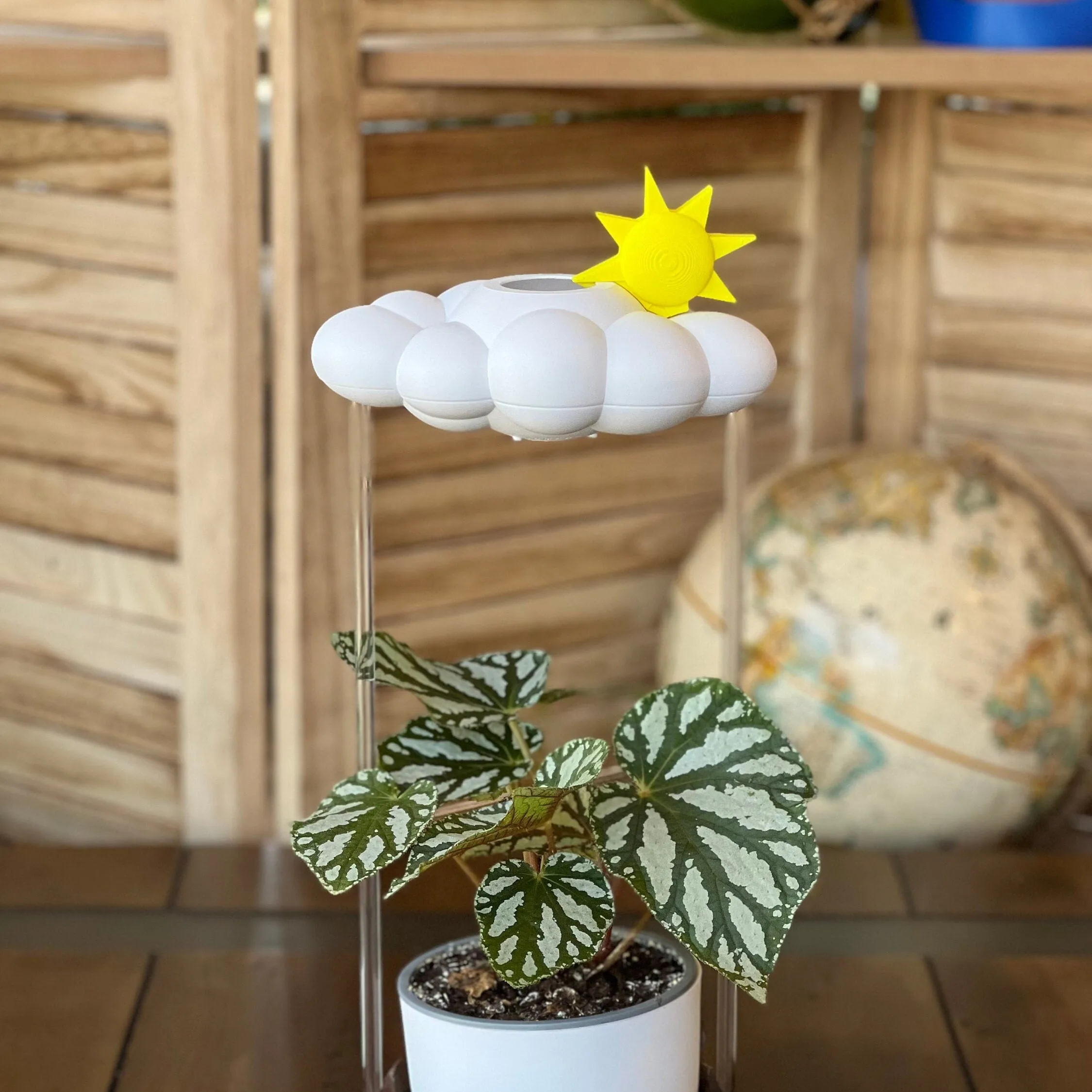 Sun Charm