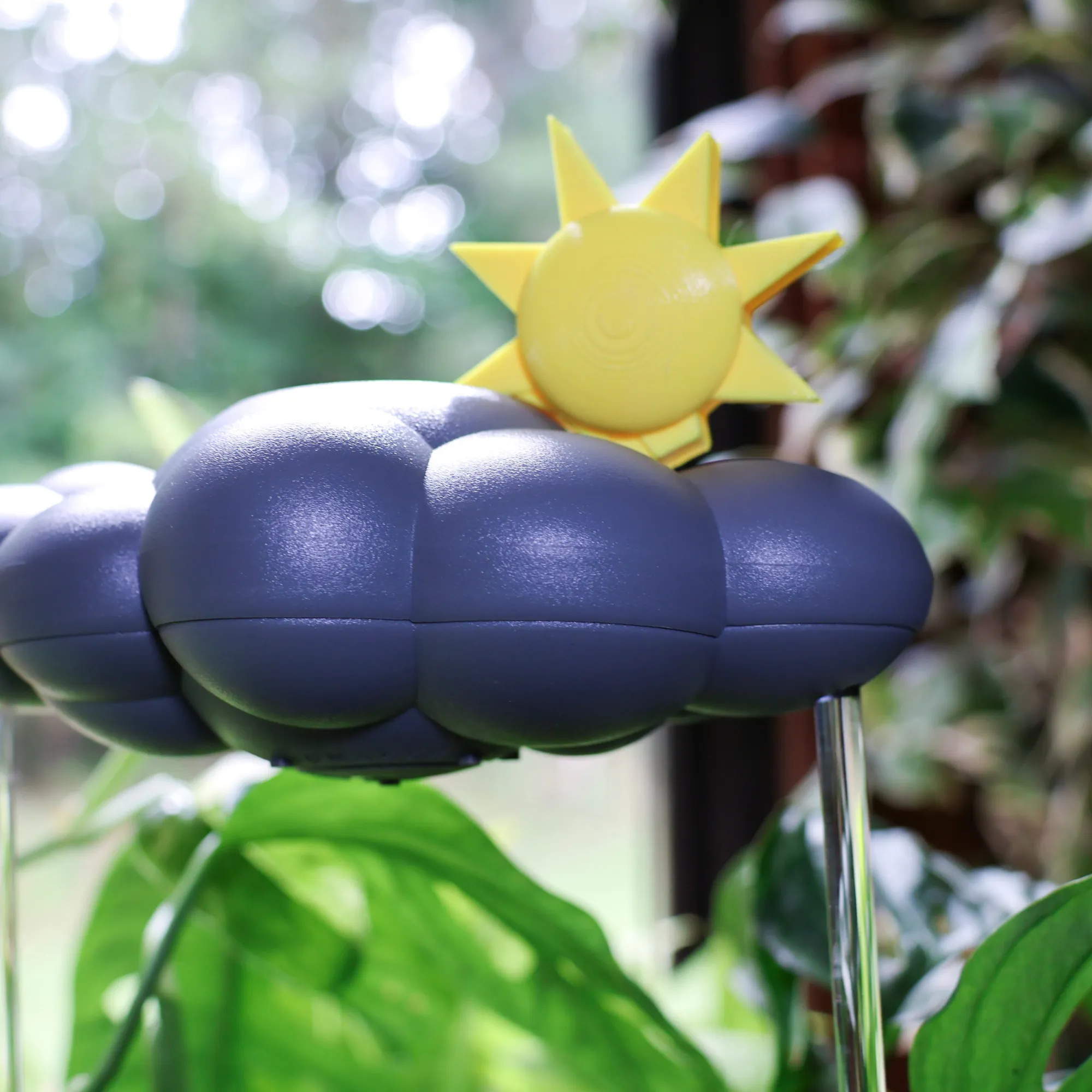Sun Charm
